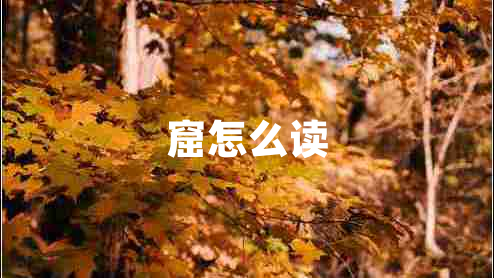 窟怎么讀