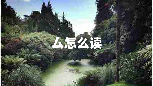 厶怎么讀