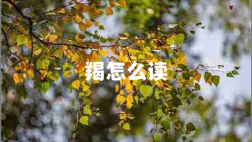 羯怎么讀