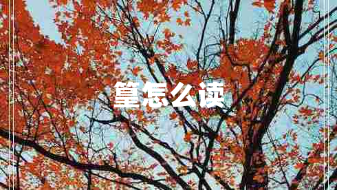 篁怎么讀