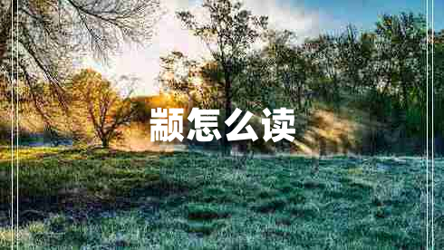 顓怎么讀