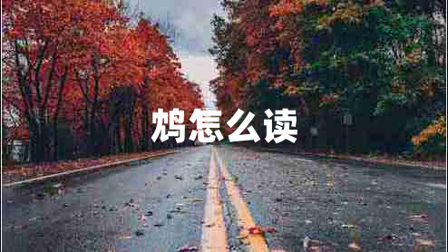 鴆怎么讀