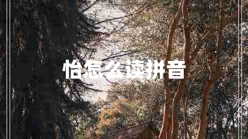怡怎么讀拼音