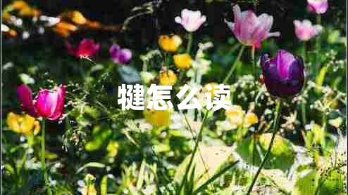 犍怎么讀