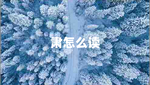 肅怎么讀