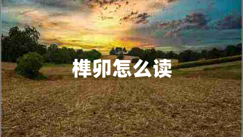 榫卯怎么讀