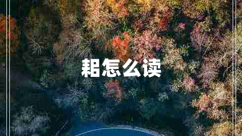 耜怎么讀