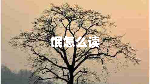 氓怎么讀