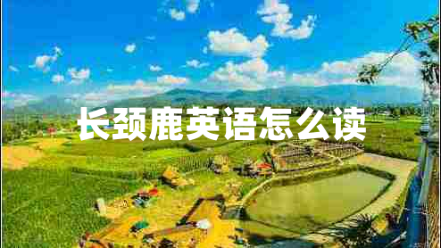 長(cháng)頸鹿英語(yǔ)怎么讀