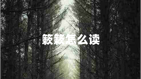 簌簌怎么讀
