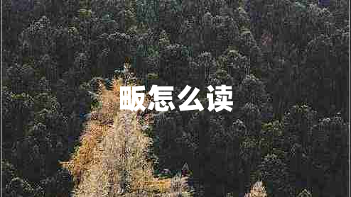 畈怎么讀
