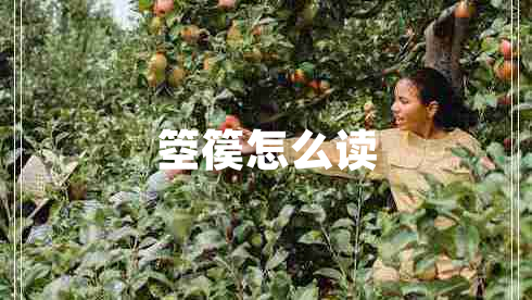 箜篌怎么讀