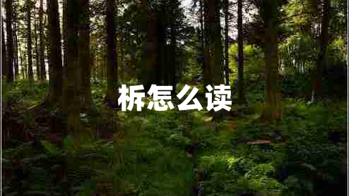 柝怎么讀