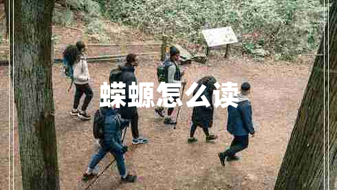 蠑螈怎么讀