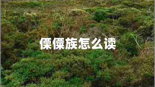 傈僳族怎么讀
