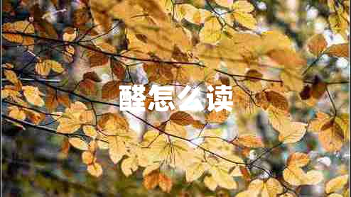 醛怎么讀