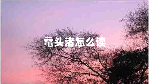 黿頭渚怎么讀