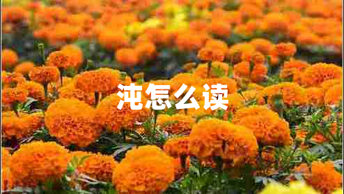 沌怎么讀