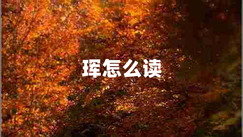 琿怎么讀