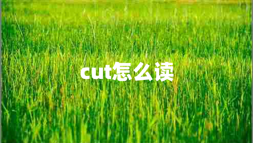 cut怎么讀