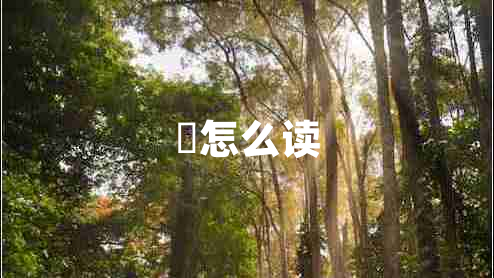 罍怎么讀