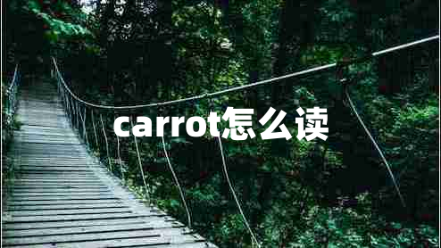 carrot怎么讀