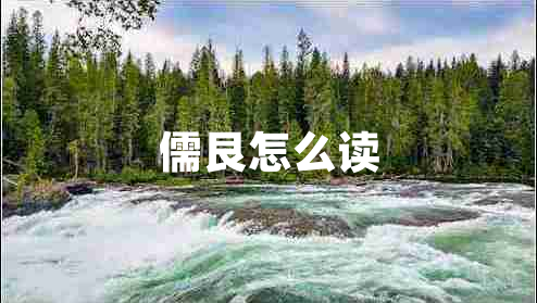 儒艮怎么讀