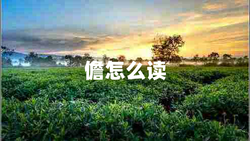 儋怎么讀