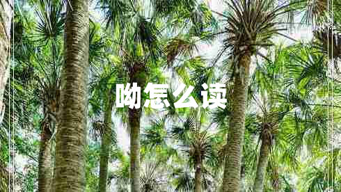呦怎么讀