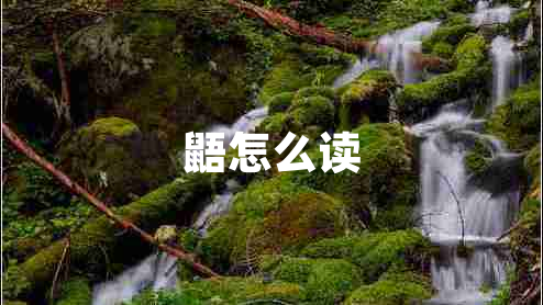 鼯怎么讀