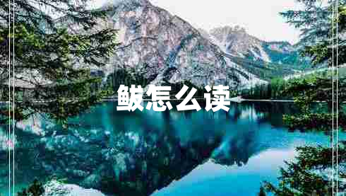 鲅怎么讀