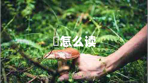 屾怎么讀