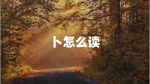 卜怎么讀