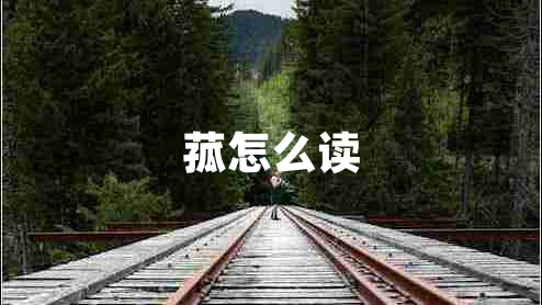 菰怎么讀
