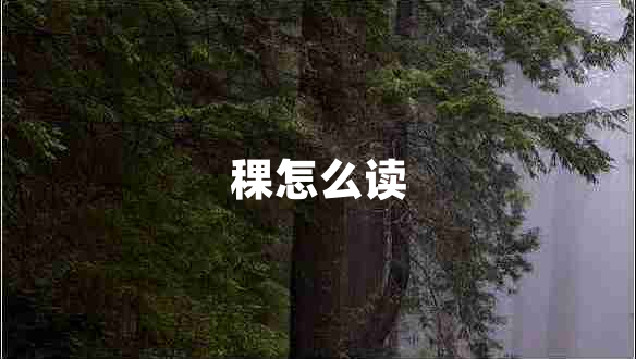 稞怎么讀