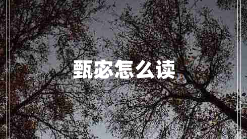 甄宓怎么讀