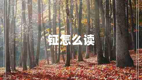 鉦怎么讀