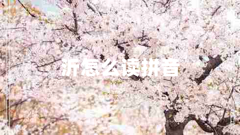 沂怎么讀拼音