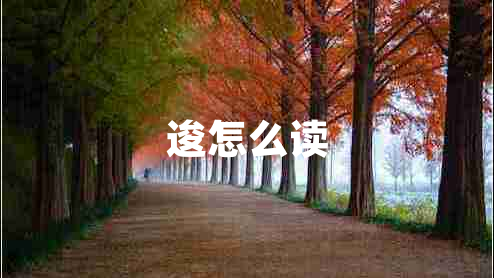 逡怎么讀