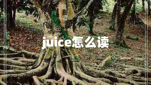 juice怎么讀