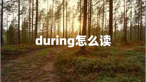 during怎么讀