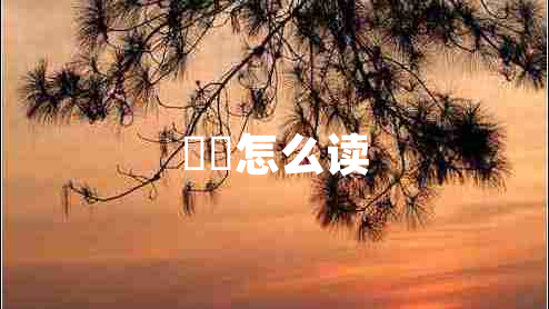 鹡鸰怎么讀