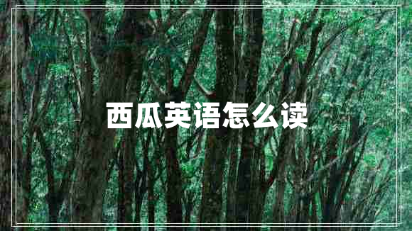 西瓜英語(yǔ)怎么讀