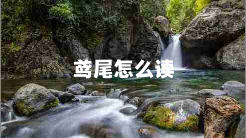 鳶尾怎么讀