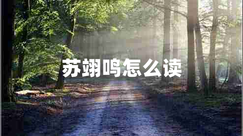 蘇翊鳴怎么讀