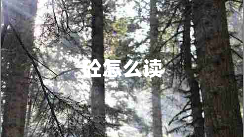 砼怎么讀