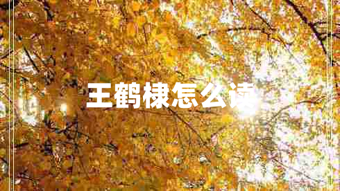 王鶴棣怎么讀