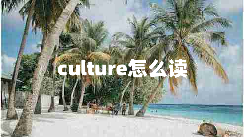 culture怎么讀