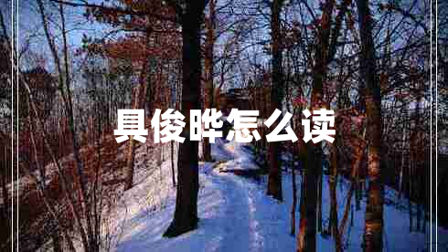 具俊曄怎么讀