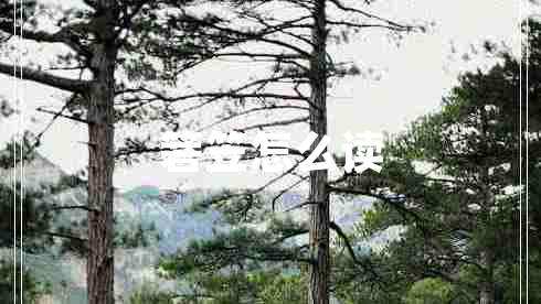 箬笠怎么讀